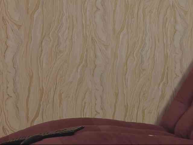 YourScarlet webcam