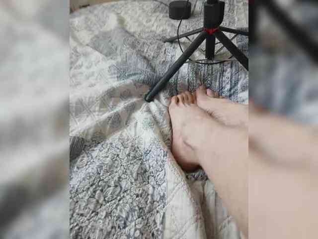 Webca430 webcam