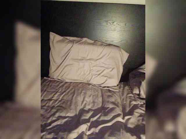 Webca430 webcam