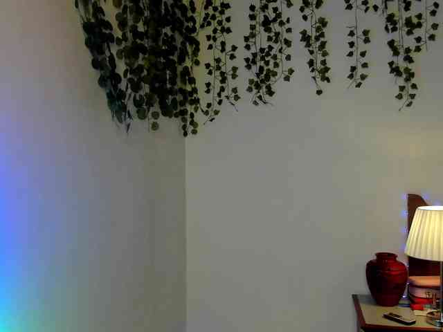 Ariana-Sunset webcam