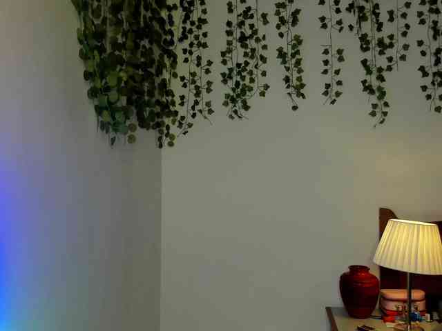 Ariana-Sunset webcam