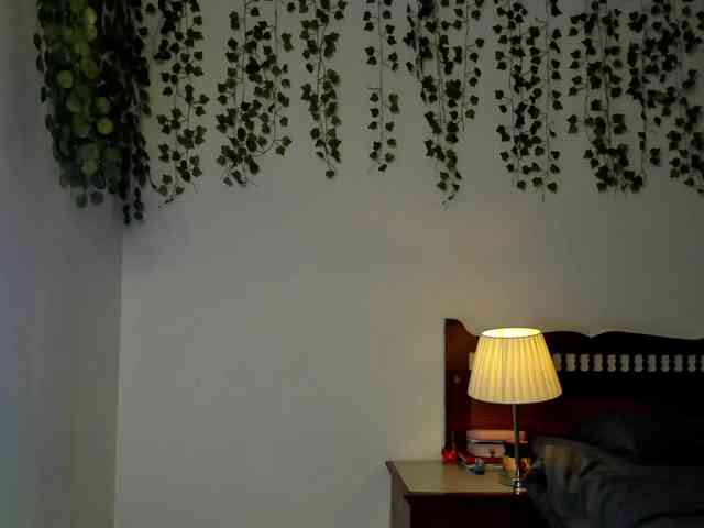 Ariana-Sunset webcam