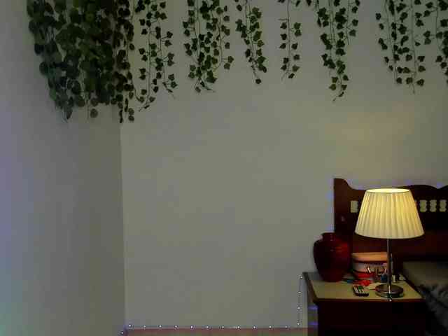 Ariana-Sunset webcam