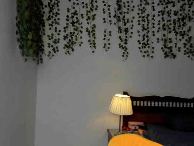 Ariana-Sunset webcam