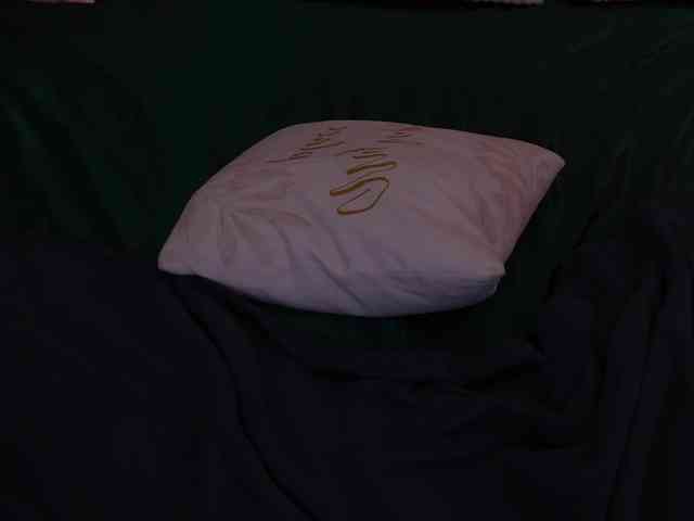 LunaLicks webcam