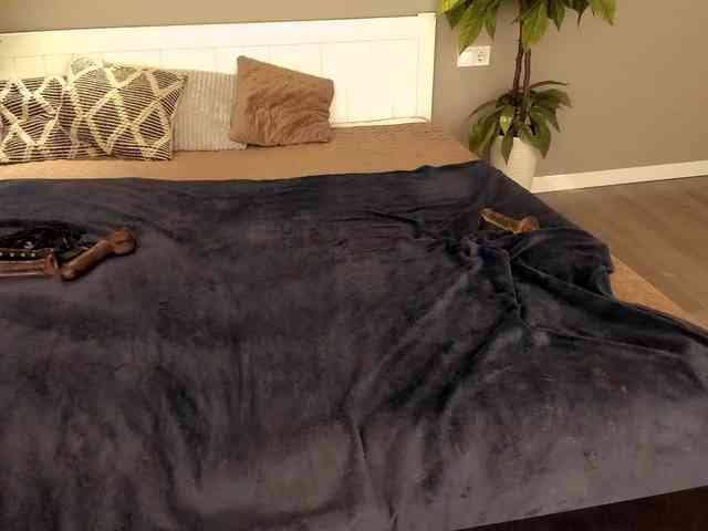 LunaLicks webcam