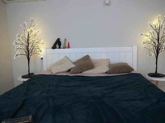 LunaLicks webcam