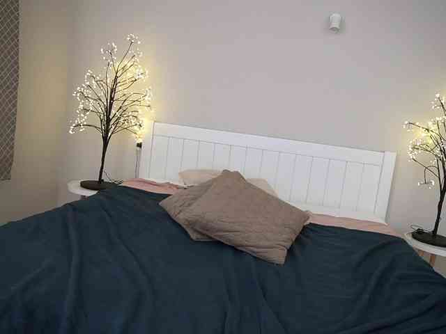 LunaLicks webcam