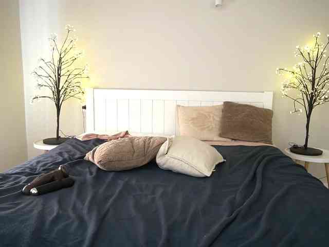 LunaLicks webcam