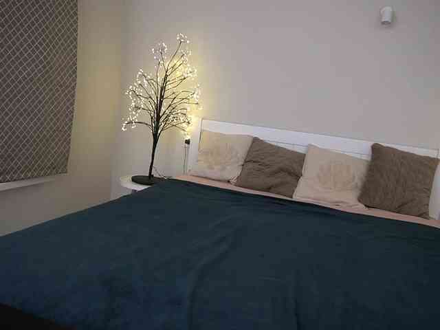 LunaLicks webcam