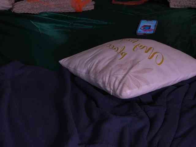LunaLicks webcam