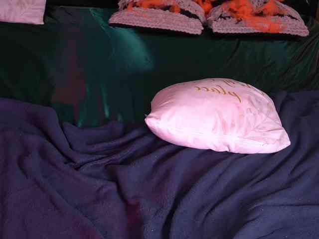 LunaLicks webcam