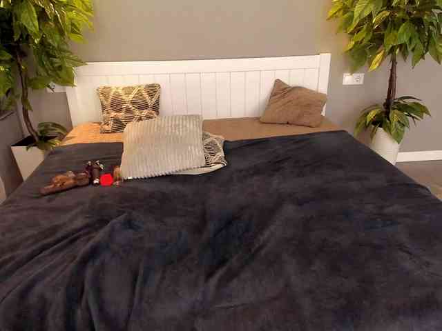 LunaLicks webcam