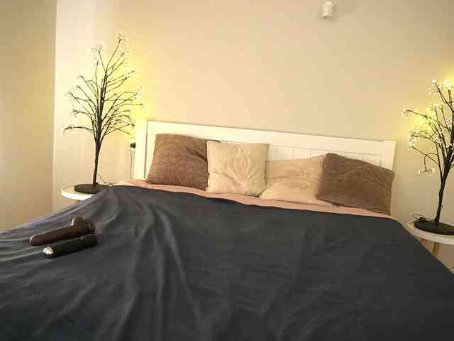 LunaLicks webcam