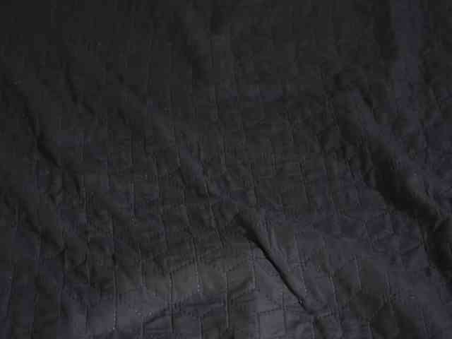LunaLicks webcam