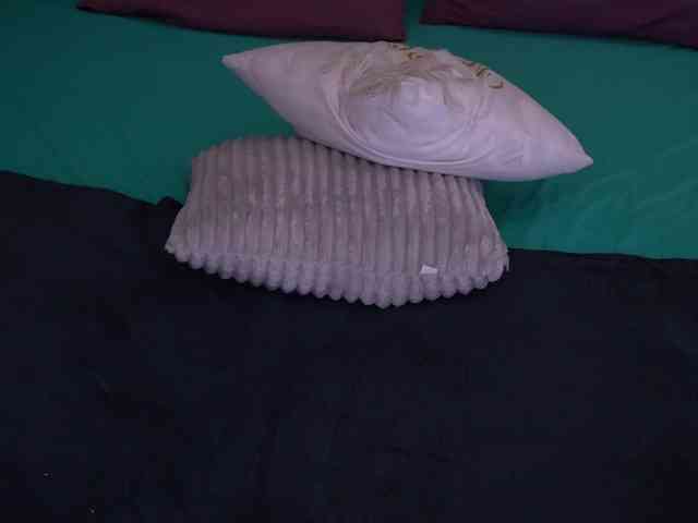 LunaLicks webcam