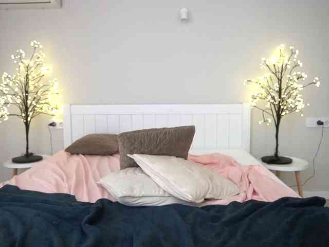 LunaLicks webcam