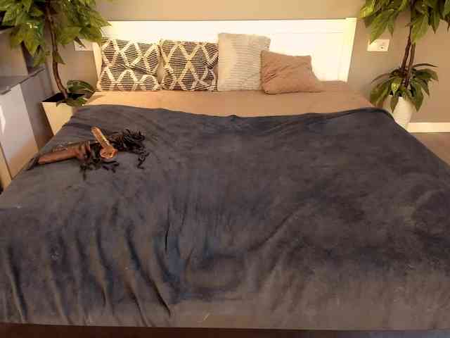 LunaLicks webcam