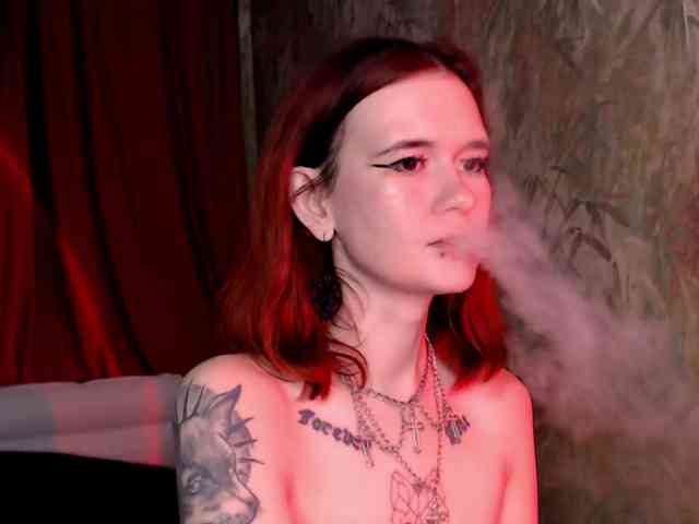 VelvetVenom webcam