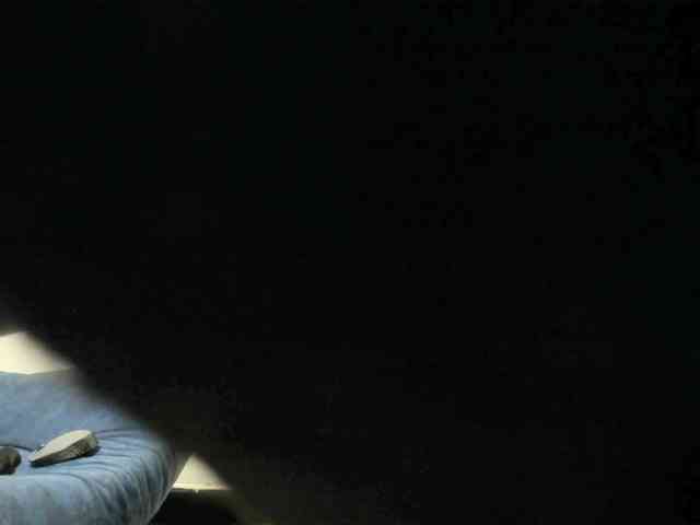 kaiagerber webcam