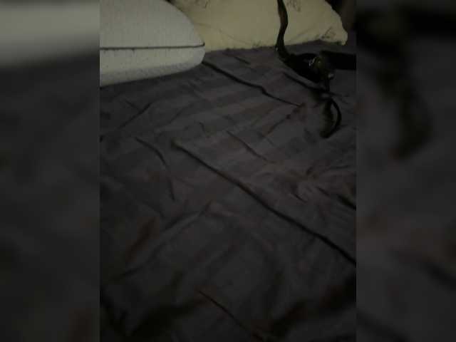 razSEKSovka's BongaCams profile