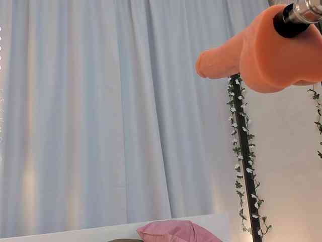 Trinity-Bunny webcam