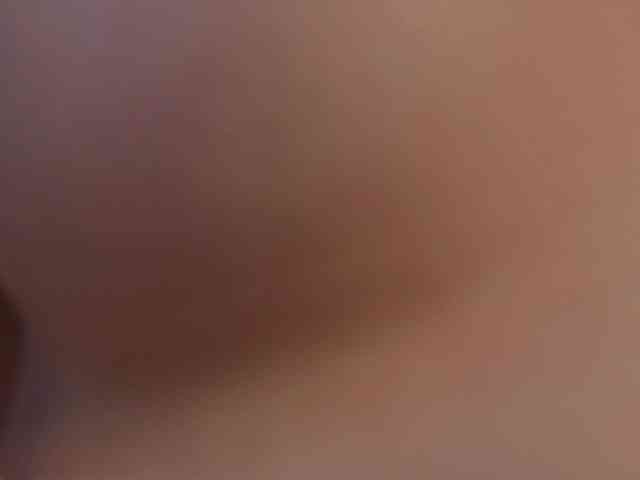 Trinity-Bunny webcam