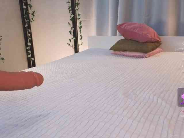 Trinity-Bunny webcam