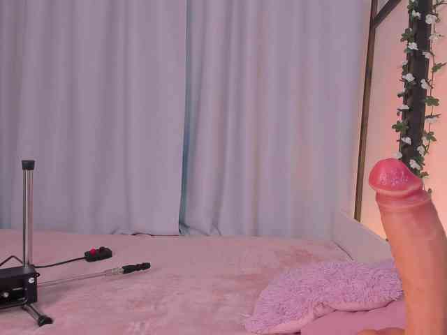 Trinity-Bunny webcam