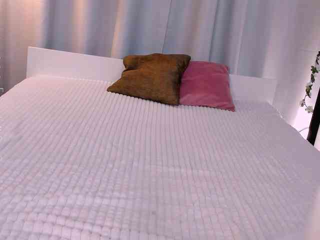 Trinity-Bunny webcam