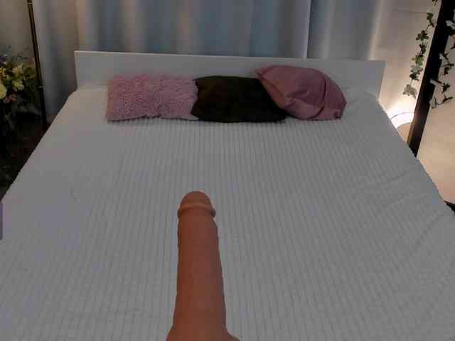 Trinity-Bunny webcam