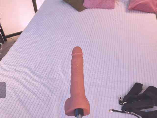 Trinity-Bunny webcam