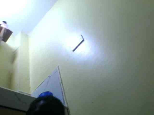 Swirrygal webcam