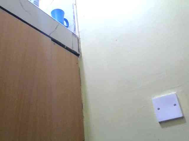 Swirrygal webcam