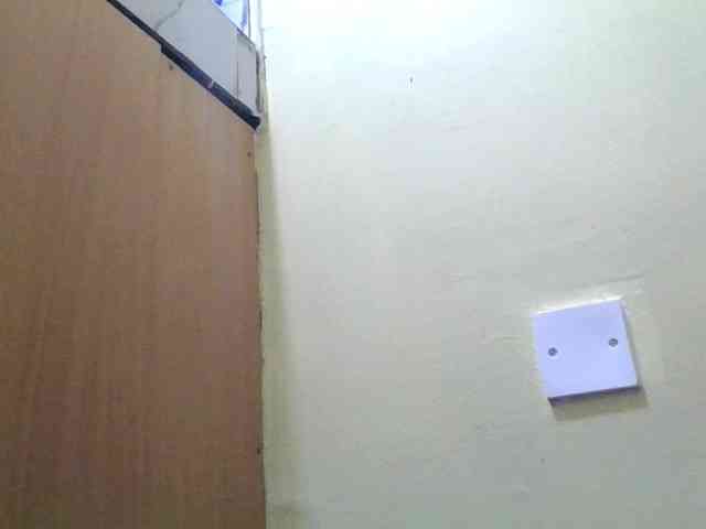 Swirrygal webcam