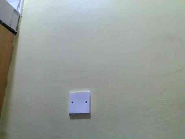 Swirrygal webcam