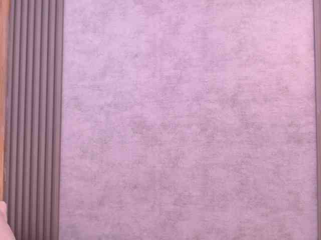 TataMiller webcam