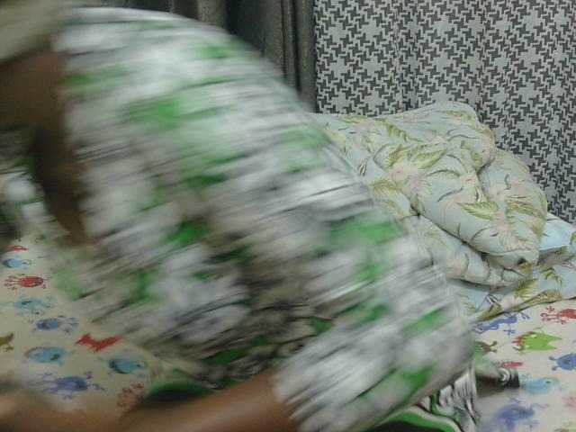 Preview of paris-ess