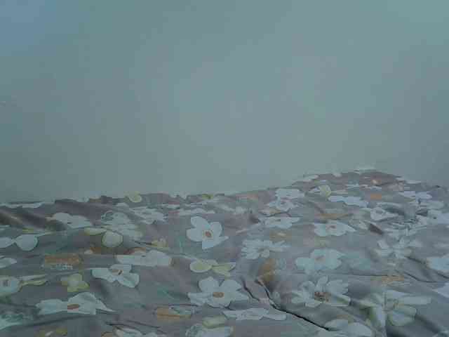 Paris-Ess webcam