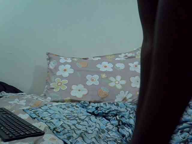 strip webcam Paris-Ess