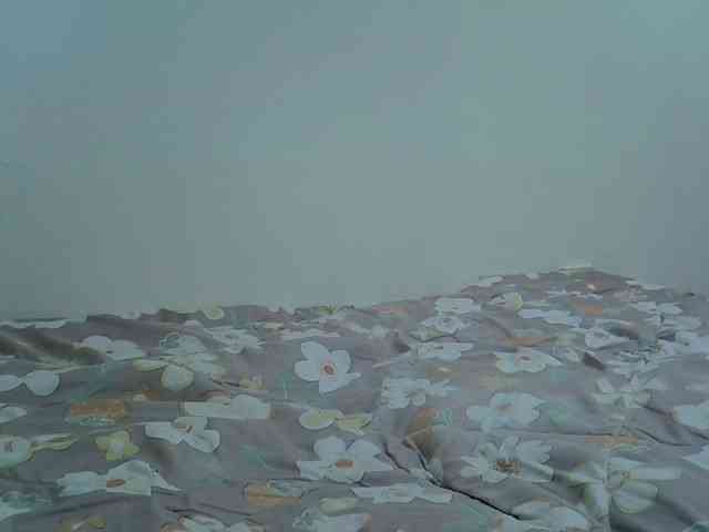 Paris-Ess webcam