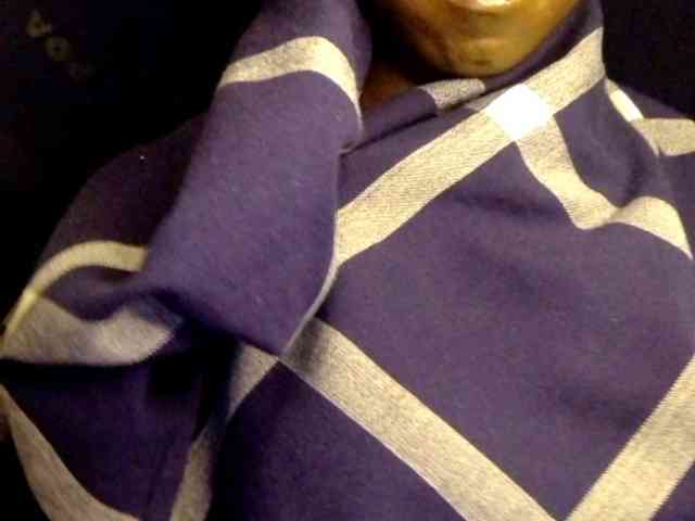 Ebonymuse webcam