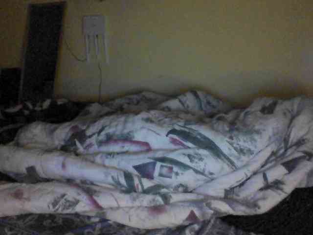 TipQueen webcam