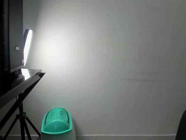 ariettajayden webcam