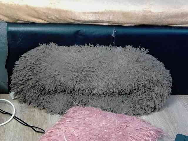 AngelaDestiny webcam