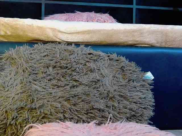 AngelaDestiny webcam