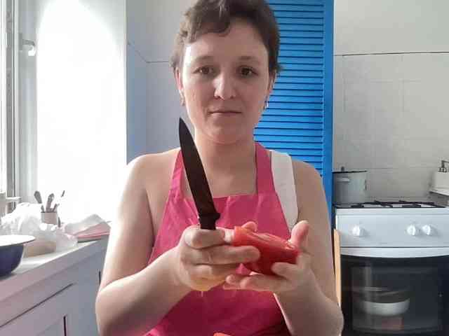 Elya5 webcam