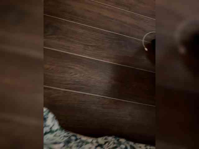 Vertigo1907 Live Webcam on BongaCams