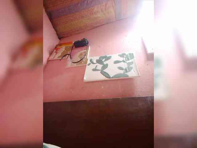 flaviahh webcam