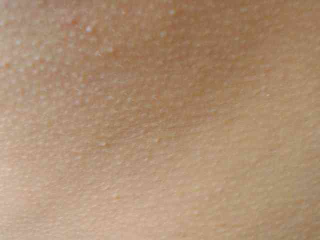 tommyxpamela444 tommyxpamela444